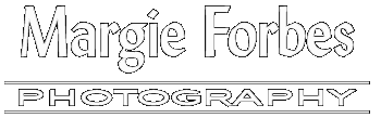 Margie Forbes Photography